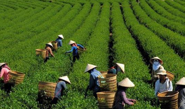 ÄÆ¡n hÃ ng Ä‘i lÃ m nÃ´ng nghiá»‡p 07/01/2017