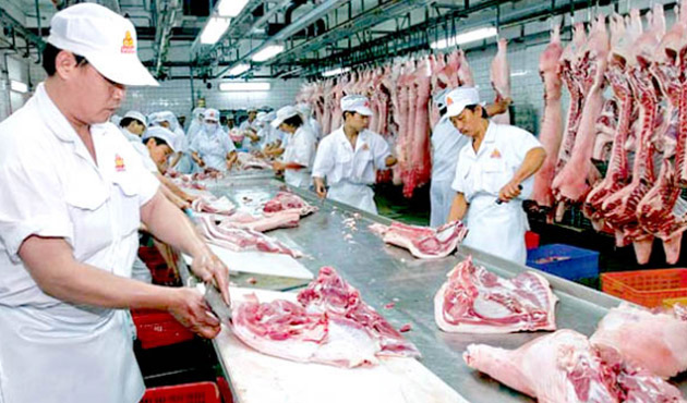 ÄÆ¡n hÃ ng cháº¿ biáº¿n xá»­ lÃ­ thá»‹t BÃ², lá»£n