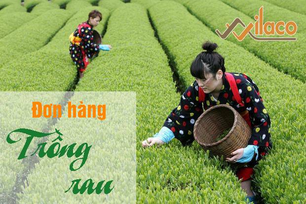 THÃ”NG BÃO ÄÆ N HÃ€NG NÃ”NG NGHIá»†P NGÃ€Y 23/01/2019