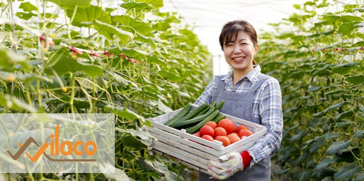 TBDH Sá» 222/TBTD-VLC: ÄÆ N HÃ€NG NÃ”NG NGHIá»†P ( TRá»’NG VÃ€ THU HOáº CH DÆ¯A CHUá»˜T, DÃ‚U TÃ‚Y..)