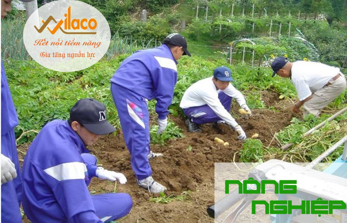 THÃ”NG BÃO DH Sá» 80/TBTD-VLC: ÄÆ N HÃ€NG NÃ”NG NGHIá»†P