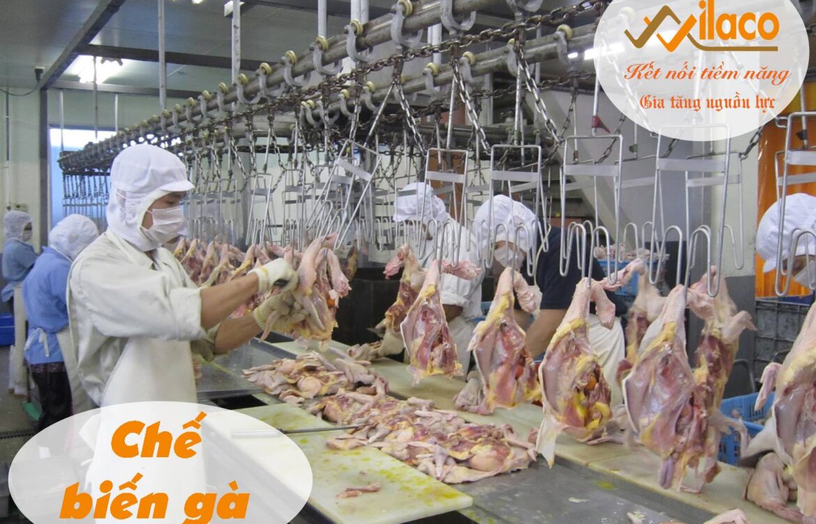 THÃ”NG BÃO ÄÆ N HÃ€NG CHáº¾ BIáº¾N GÃ€ NGÃ€Y 17/04/2019