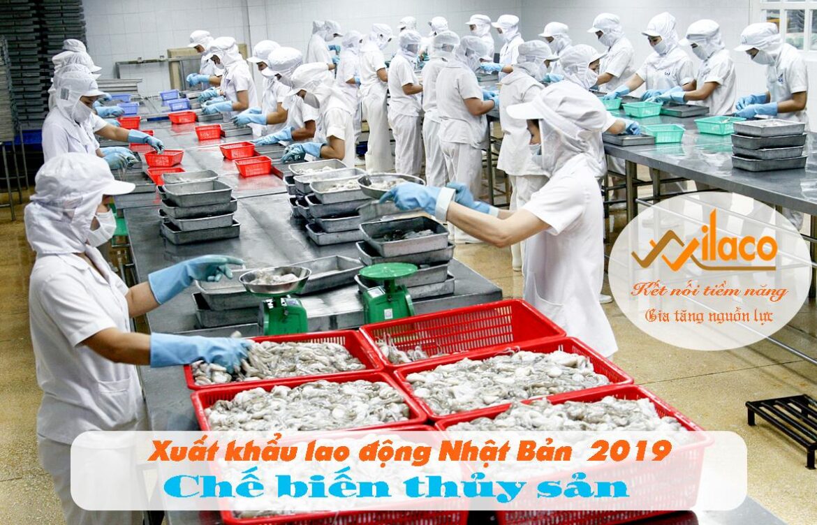 THÃ”NG BÃO ÄÆ N HÃ€NG CHáº¾ BIáº¾N THá»¦Y Sáº¢N 07/05/2019