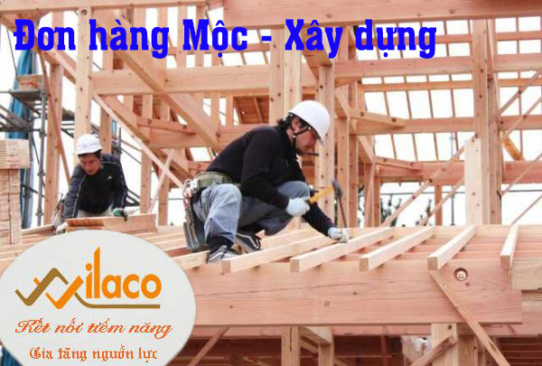 TBDH Sá» 212/TBTD-VLC: ÄÆ N HÃ€NG Má»˜C