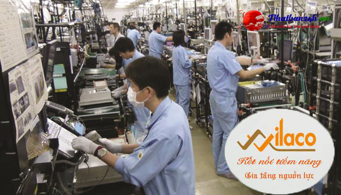 TB Sá» 15/TBTD-VLC ÄÆ N HÃ€NG GIA CÃ”NG CÆ  KHÃ