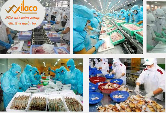 TB Sá» 59/TBTD-VLC: ÄÆ N HÃ€NG CHáº¾ BIáº¾N THá»¦Y Sáº¢N
