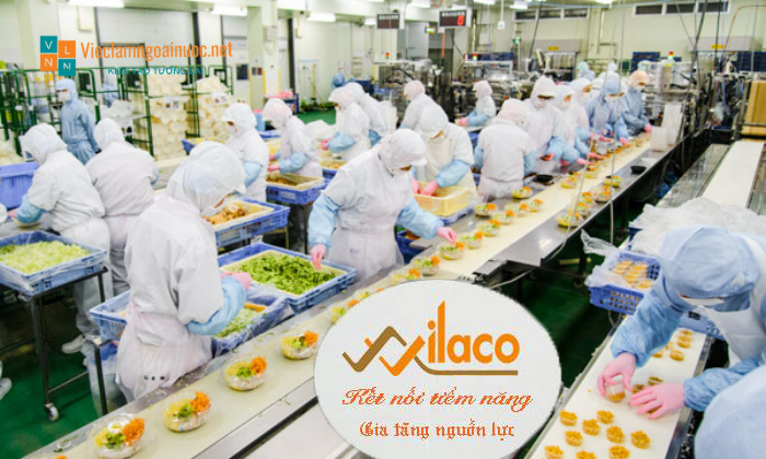 TBDH Sá» 15/2023 TBTD-VLC: ÄÆ N HÃ€NG CHáº¾ BIáº¾N Äá»’ Ä‚N Sáº´N