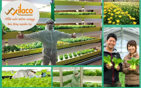 TBÄH Sá» 90/2023/TBTD-VLC: ÄÆ N HÃ€NG NÃ”NG NGHIá»†P CÃ‚Y TRá»’NG
