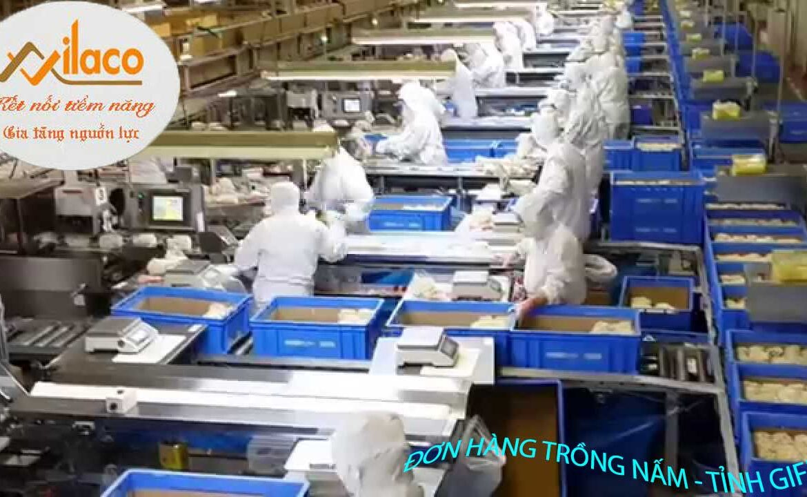 TB Sá»: 45/TBTD-VLC ÄÆ N HÃ€NG NÃ”NG NGHIá»†P ( TRá»’NG Náº¤M)