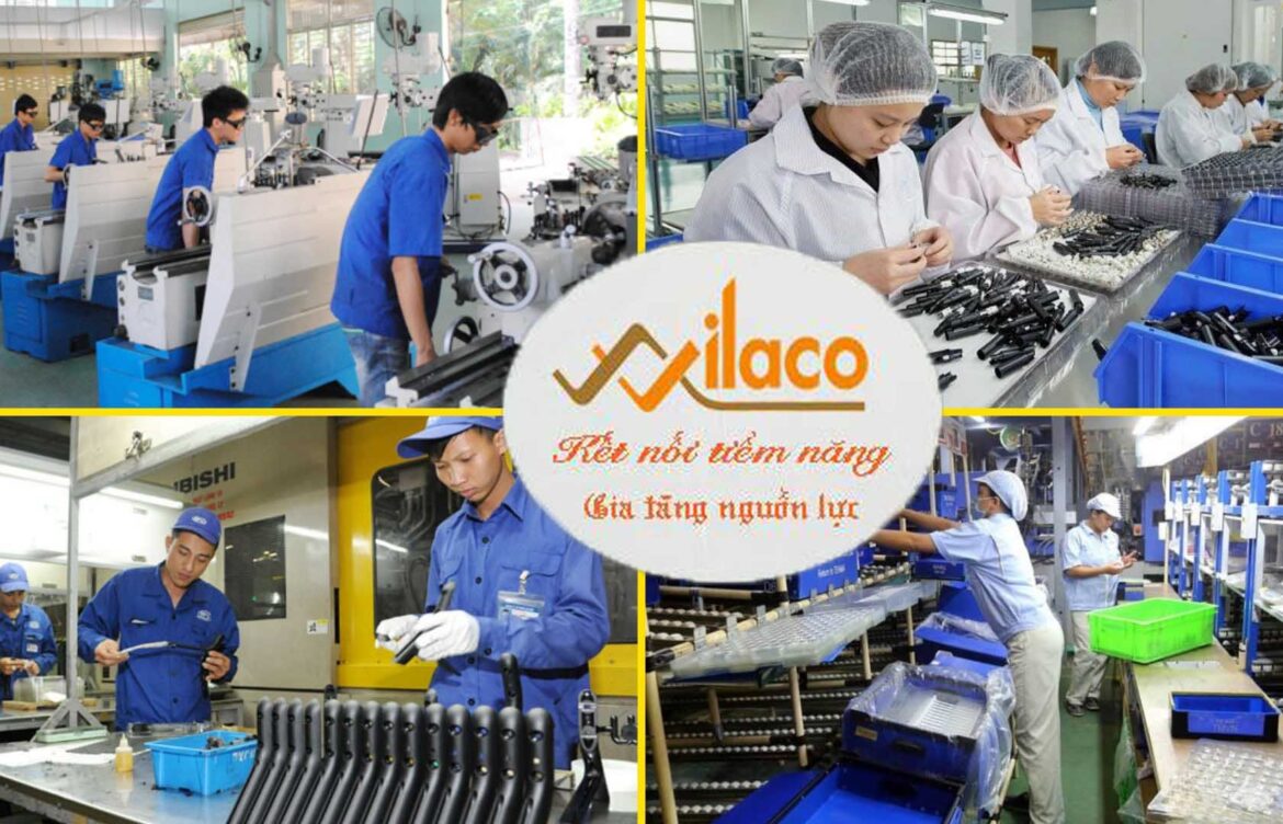 TBDH Sá» 191/TBTD-VLC ÄÆ N HÃ€NG ÄÃšC ( KIá»‚M TRA Sáº¢N PHáº¨M CÆ  KHÃ)