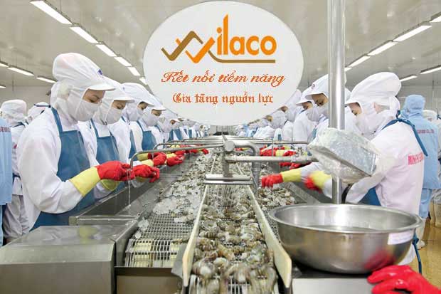 TB Sá» 80/TBTD-VLC ÄÆ N HÃ€NG CHáº¾ BIáº¾N THá»¦Y Sáº¢N