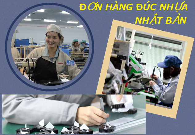 TB Sá» 70/TBTD-VLC ÄÆ N HÃ€NG ÄÃšC NHá»°A