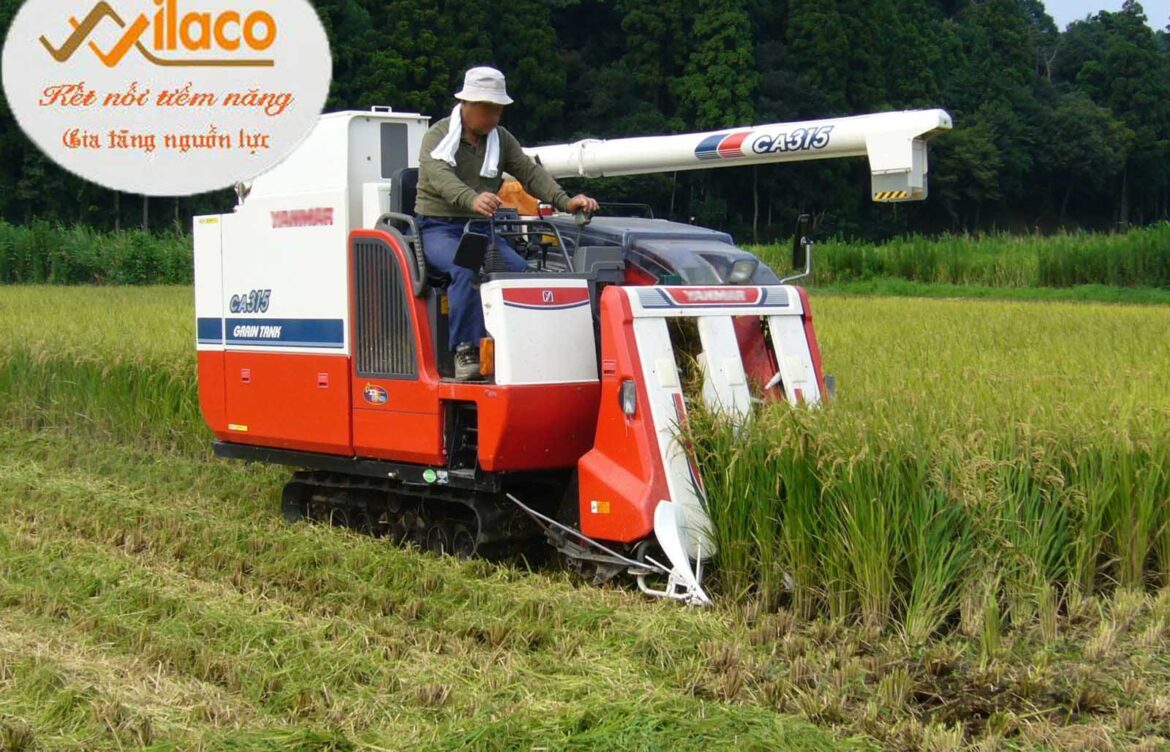 23/2024 TBTD-VLC: ThÃ´ng bÃ¡o tuyá»ƒn dá»¥ng TTS ngÃ nh NÃ´ng nghiá»‡p lÃ m viá»‡c táº¡i tá»‰nh Aomori –  Nháº­t Báº£n