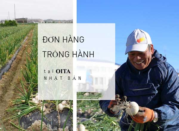 TB Sá» 120/TBTD-VLC ÄÆ N HÃ€NG NÃ”NG NGHIá»†P ( TRá»’NG VÃ€ THU HOáº CH HÃ€NH)