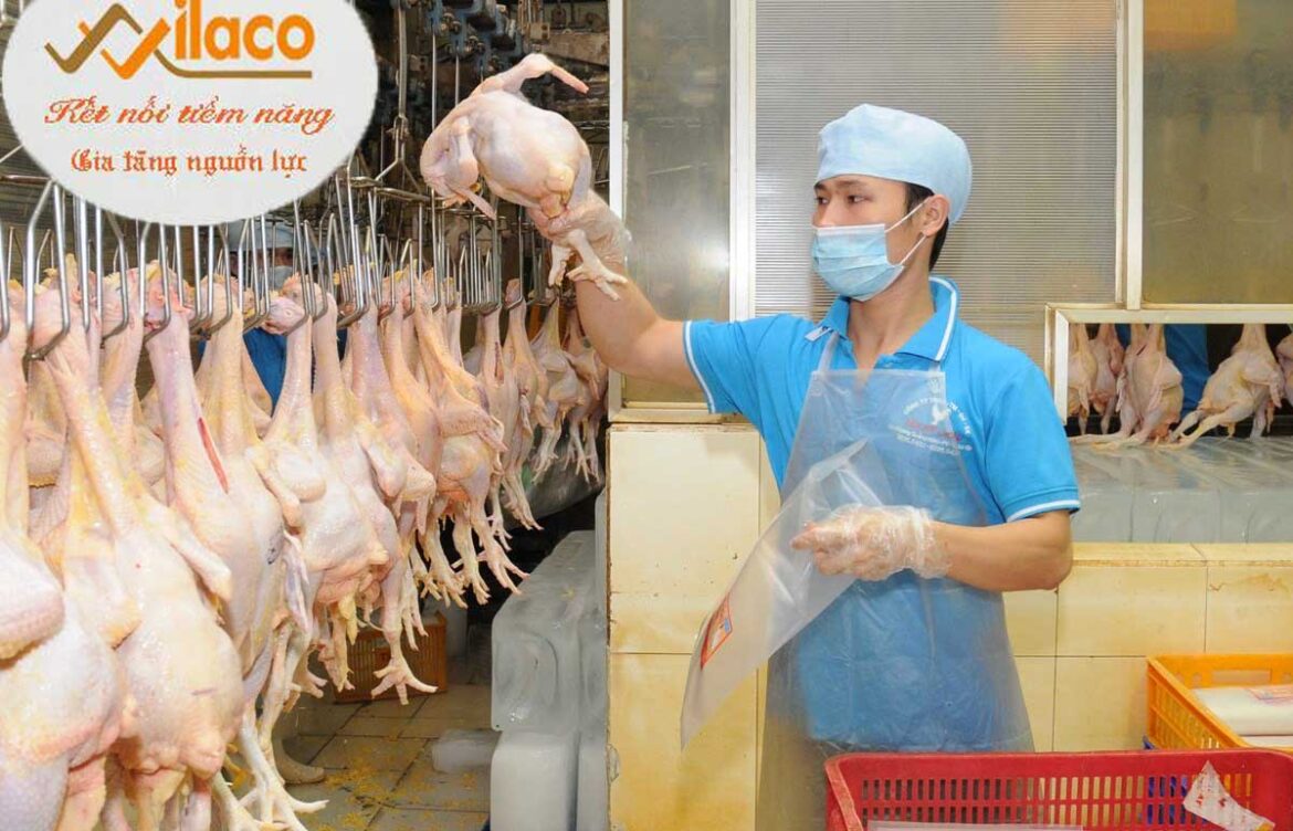 TB Sá» 103/TBTD-VLC ÄÆ N HÃ€NG GIA CÃ”NG Xá»¬ LÃ THá»ŠT GÃ€