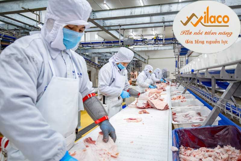 TB Sá» 140/TBTD-VLC ÄÆ N HÃ€NG CHáº¾ BIáº¾N THá»ŠT BÃ’ VÃ€ THá»ŠT Lá»¢N