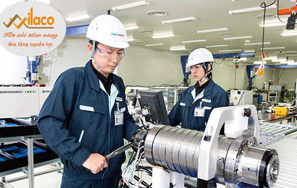 TBDH Sá» 13/2023 TBTD-VLC: ÄÆ N HÃ€NG GIA CÃ”NG CÆ  KHÃ