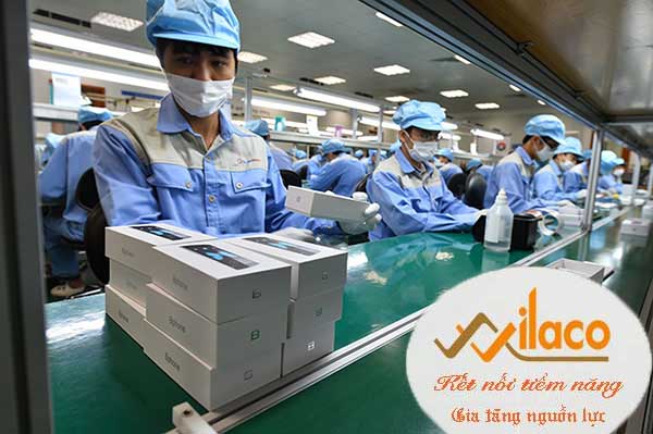 TB Sá» 167/TBTD-VLC ÄÆ N HÃ€NG ÄÃ“NG GÃ“I CÃ”NG NGHIá»†P