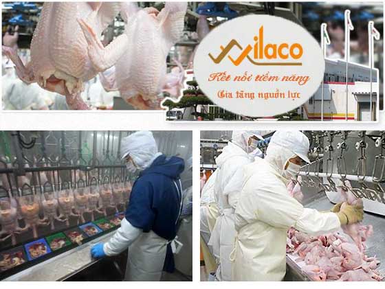 TB Sá» 172/TBTD-VLC ÄÆ N HÃ€NG GIA CÃ”NG Xá»¬ LÃ THá»ŠT GÃ€